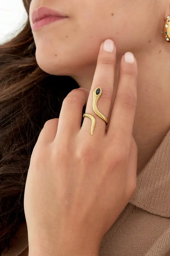 Anillo de serpiente negra