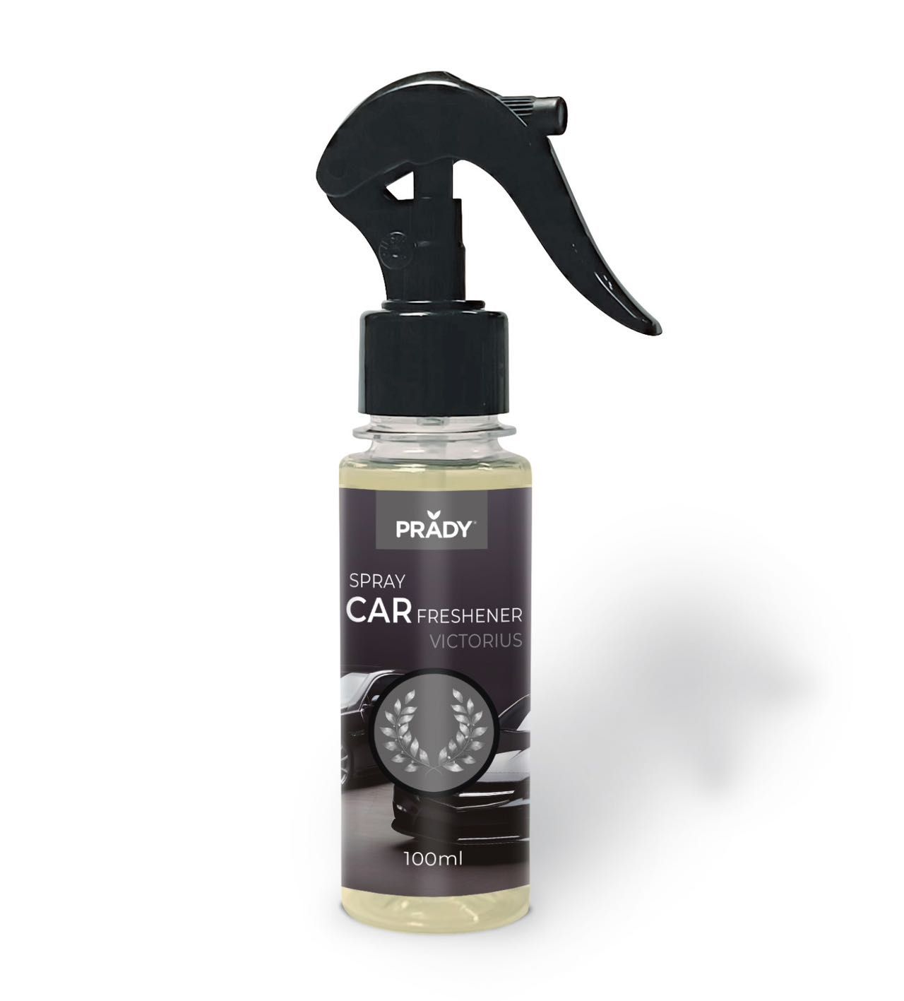 Ambientador Spray Coche 100ml Fragancia Perfume Invictus